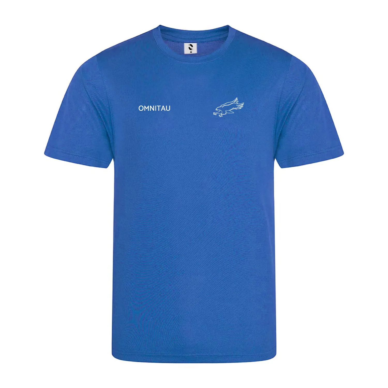 ACS Hillingdon Kid's PE Technical T-Shirt - Royal Blue
