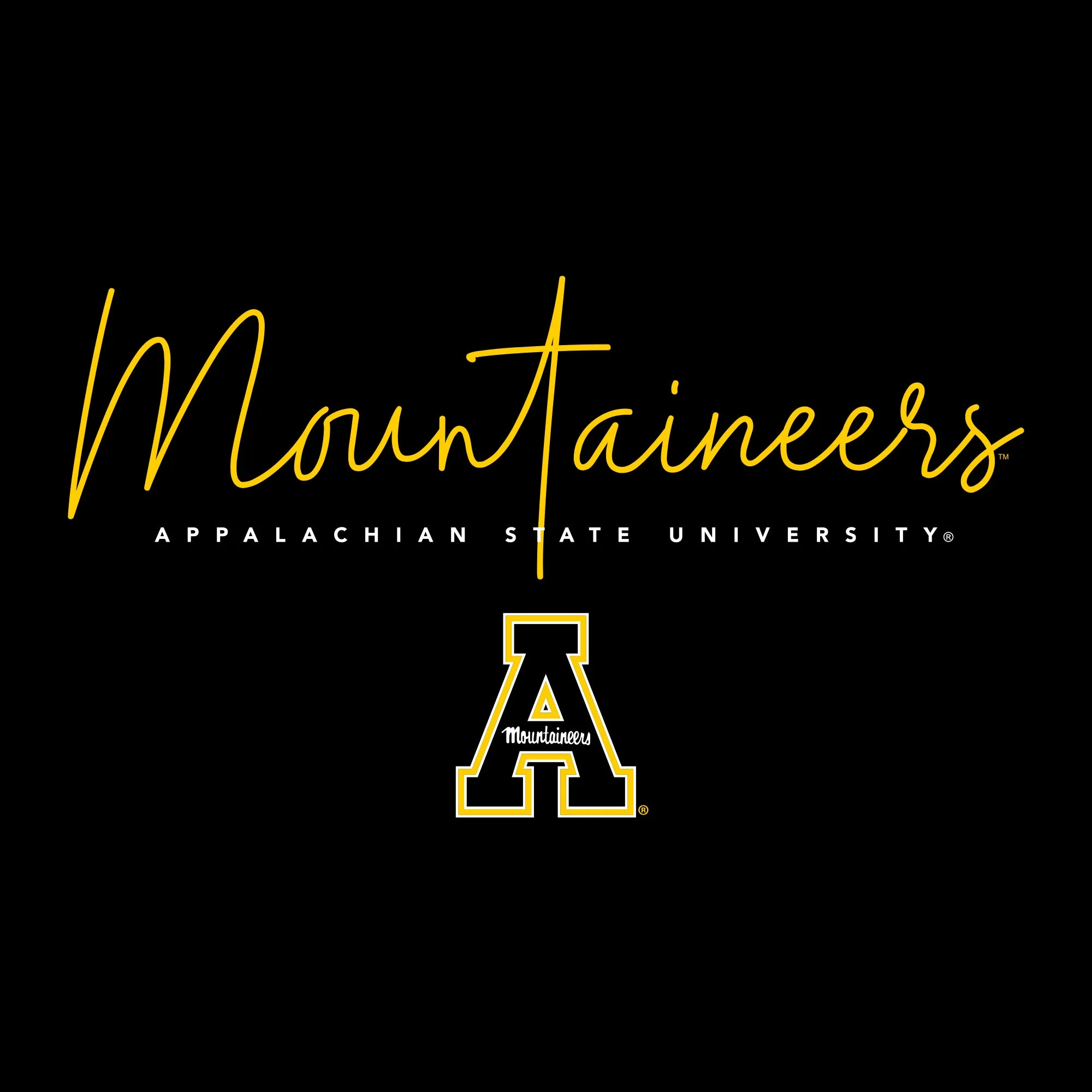 App State Thin Script Womens T-Shirt - Black