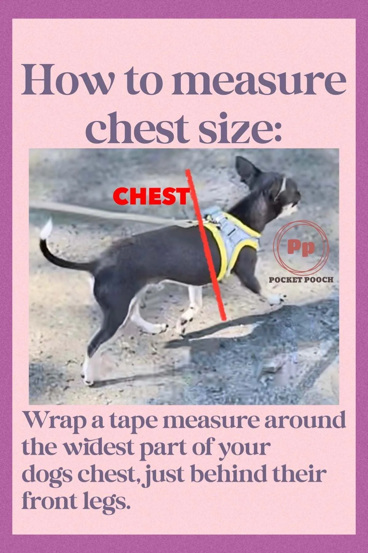 Fur Harness Sets, soft faux fur for small dogs, XXXS-M