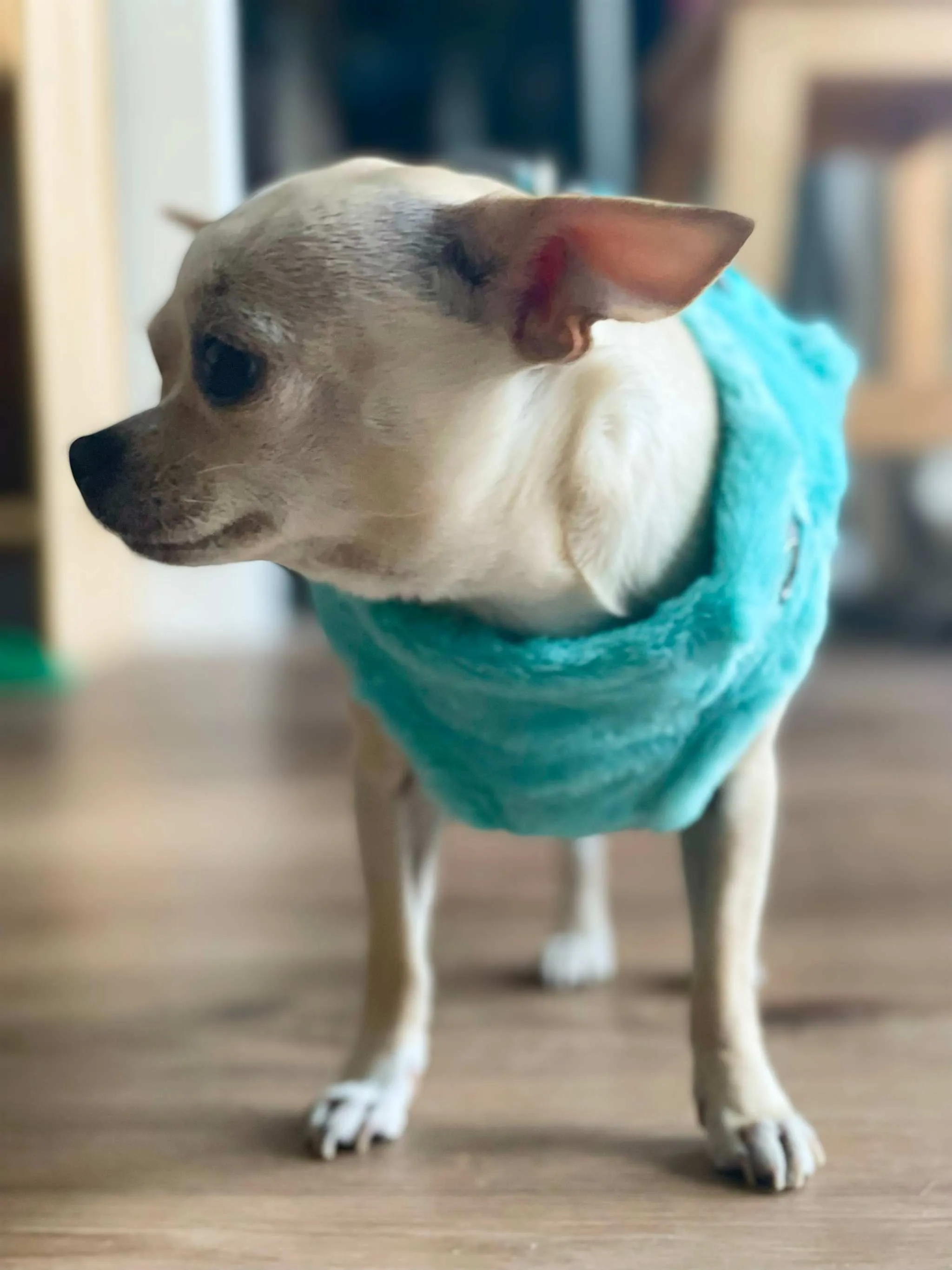 Fur Harness Sets, soft faux fur for small dogs, XXXS-M