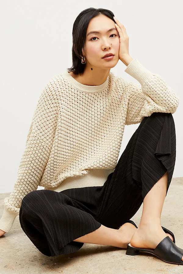 Liam Sweater - Popcorn Knit :: Coconut